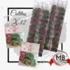 COLITAS A RAYAS PEQUEÑAS X12