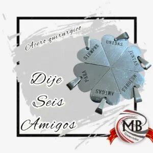 DIJE SEIS AMIGOS ACERO Q