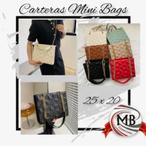 CARTERAS-MINI-BAG