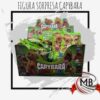FIGURAS SORPRESA CAPYBARA