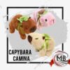 CAPYBARA