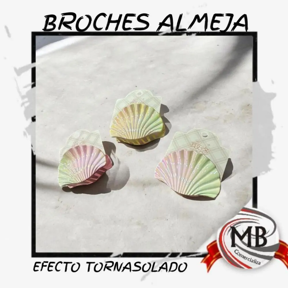 BROCHES-ALMEJA