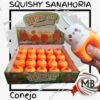 SQUISHY SANAHORIA CONEJO