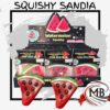 SQUISHY SANDIA EN CAJA