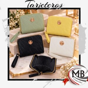 TARJETEROS LISOS COLORES